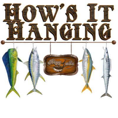How’s It Hanging T-Shirt